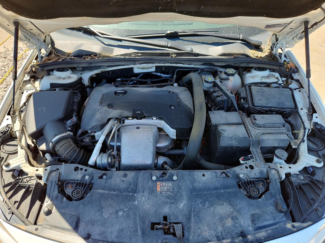 Buick Regal Essence