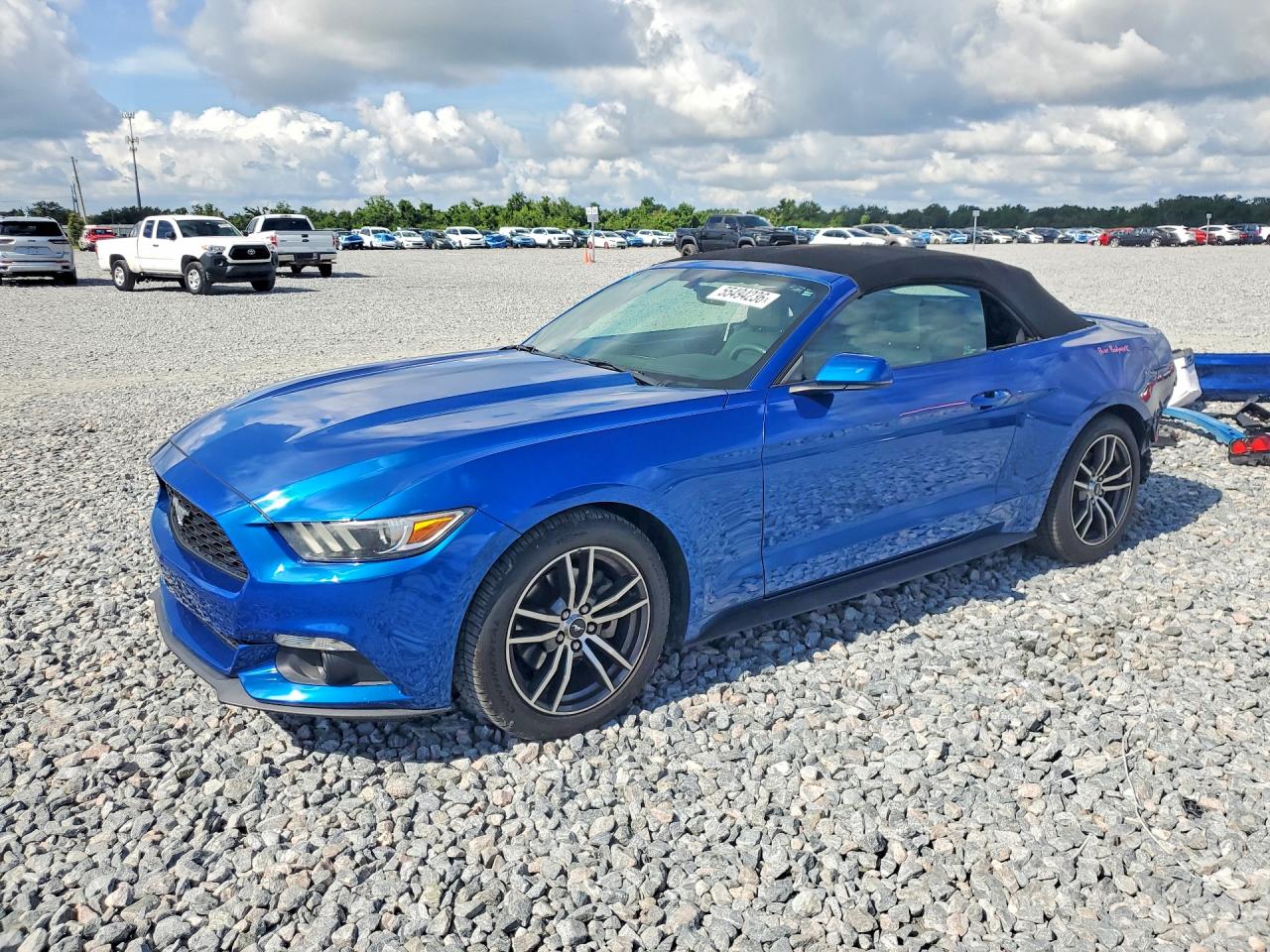 Salvage Ford Mustang Image