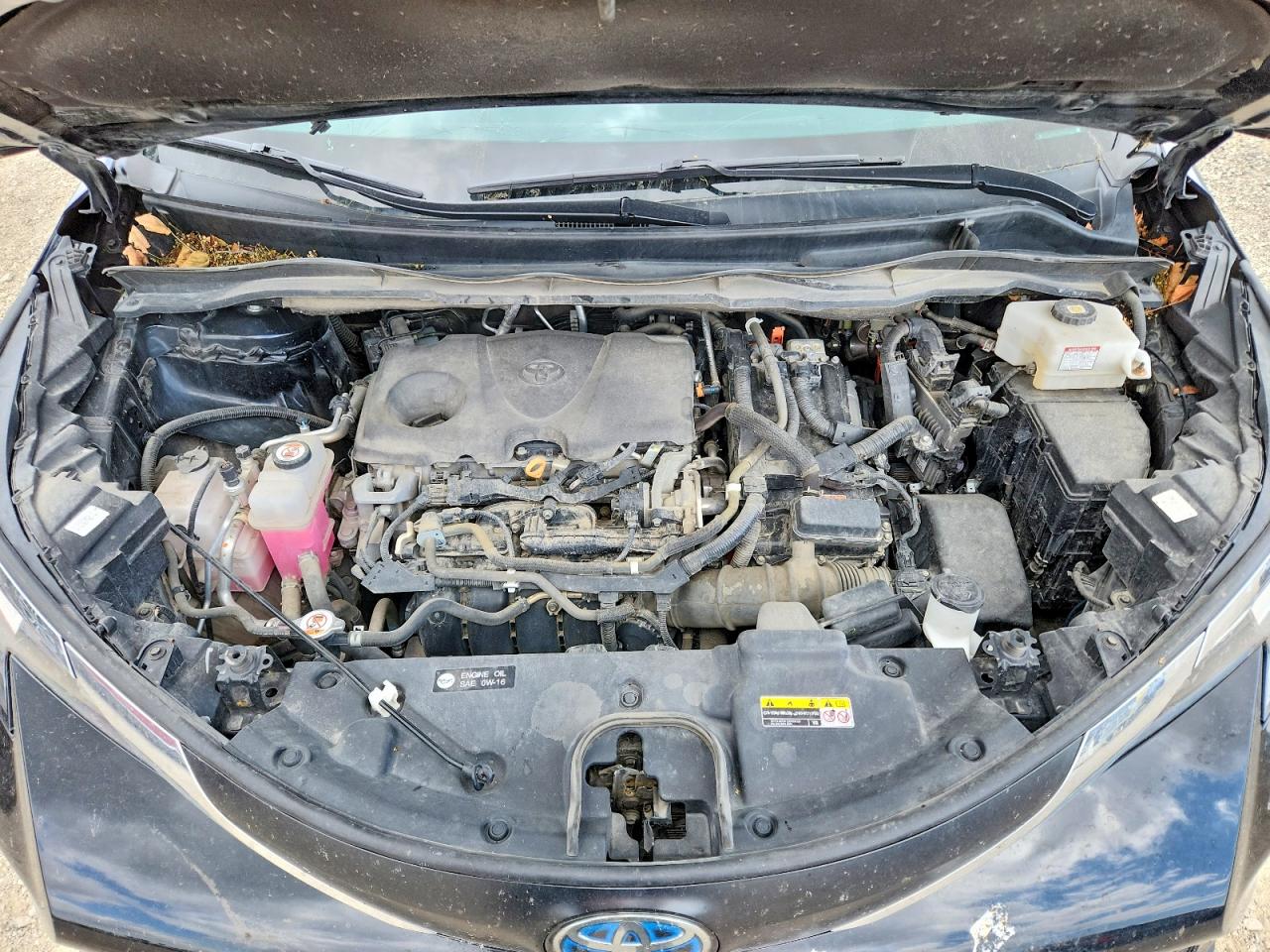 Toyota Sienna Xle