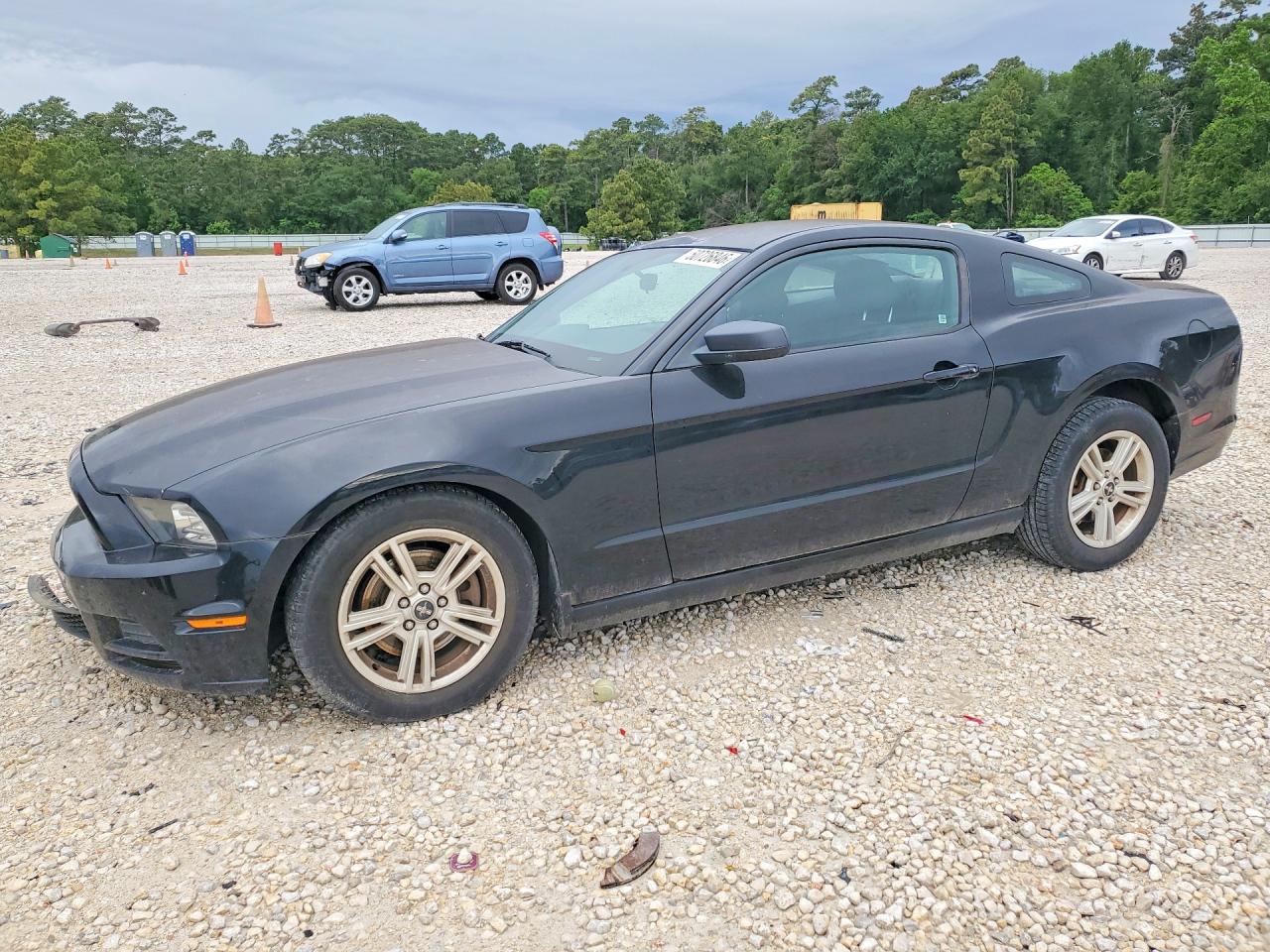 Salvage Ford Mustang Image