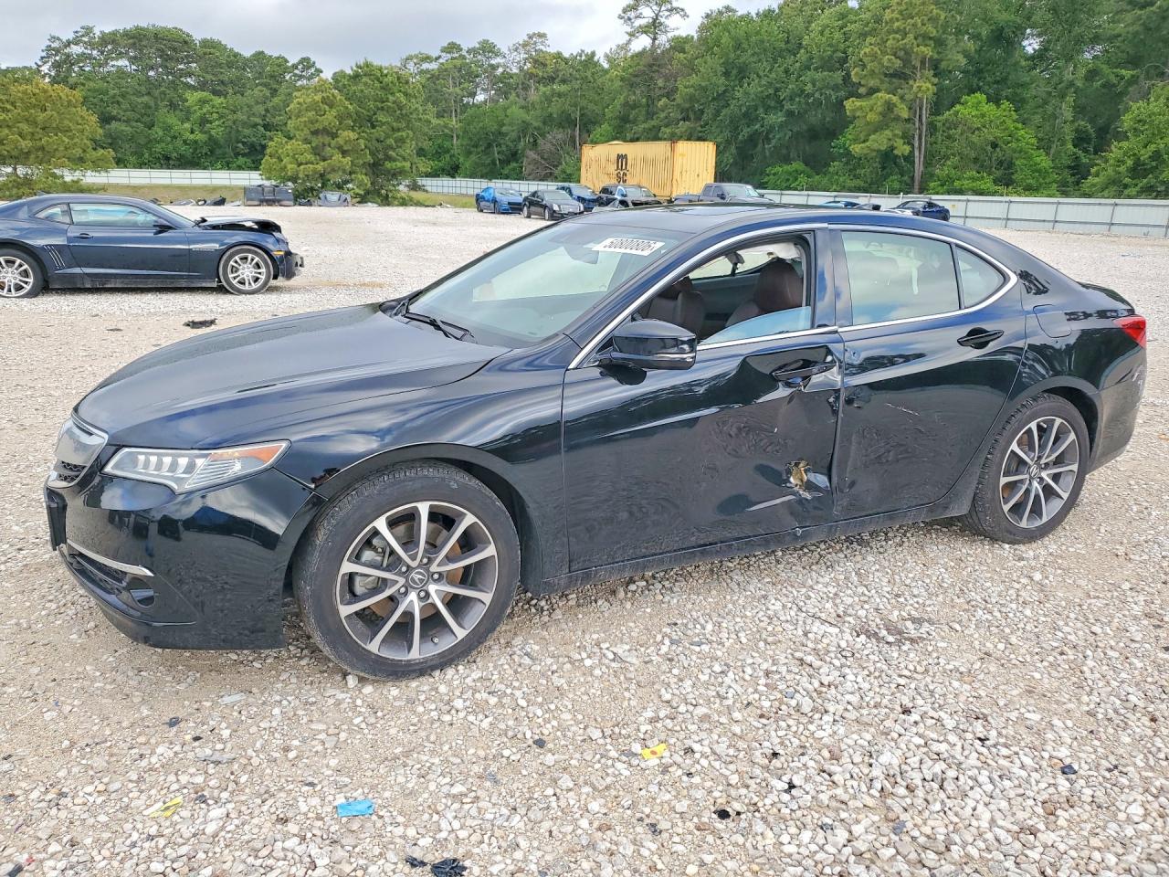Salvage Acura TLX Image
