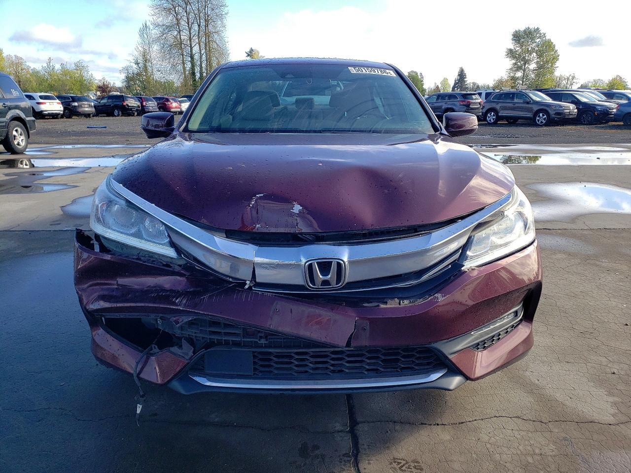 Honda Accord Exl