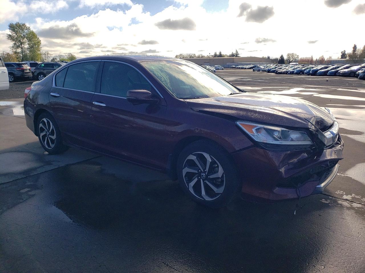 Honda Accord Exl