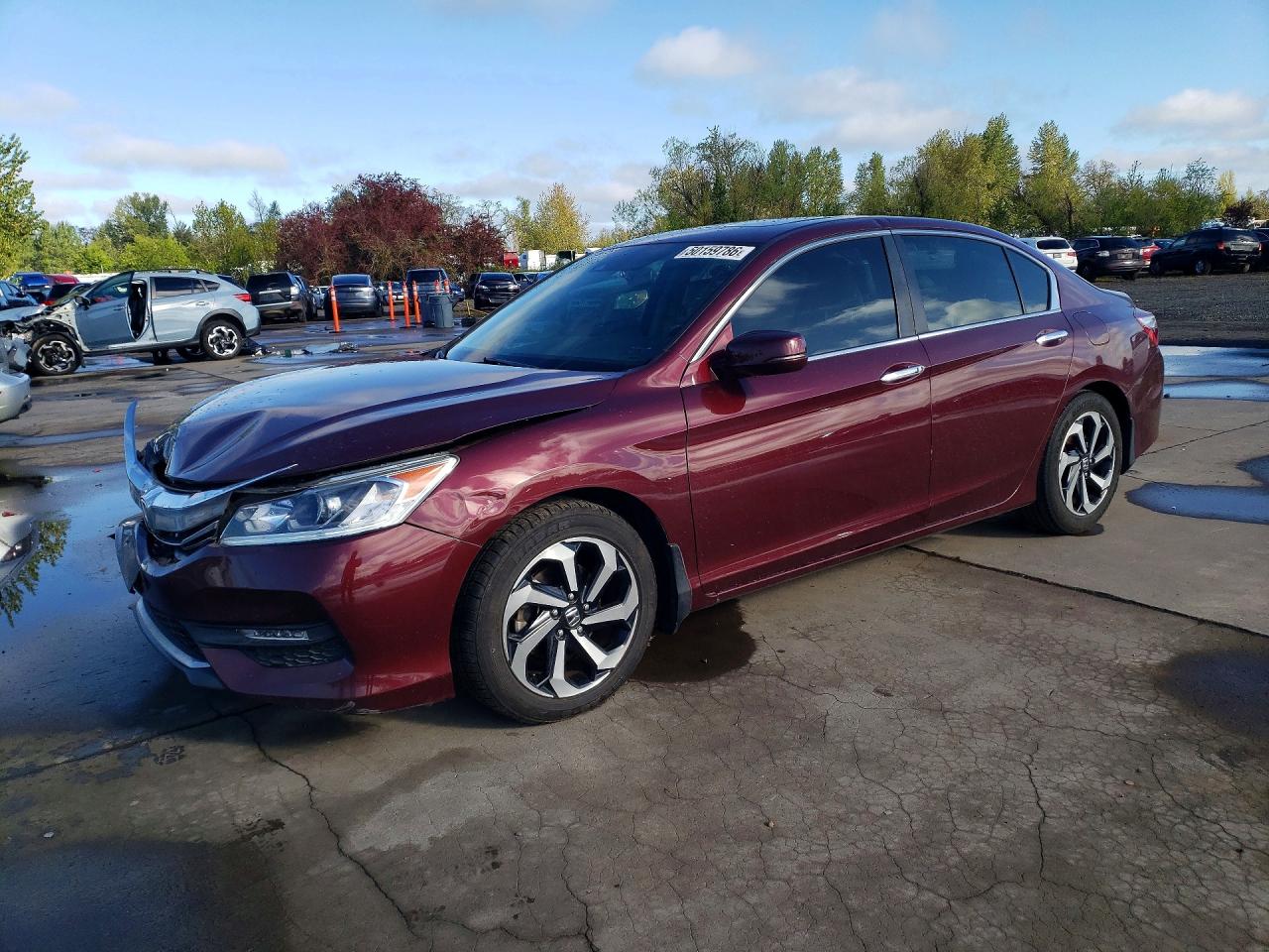Salvage Honda Accord Image