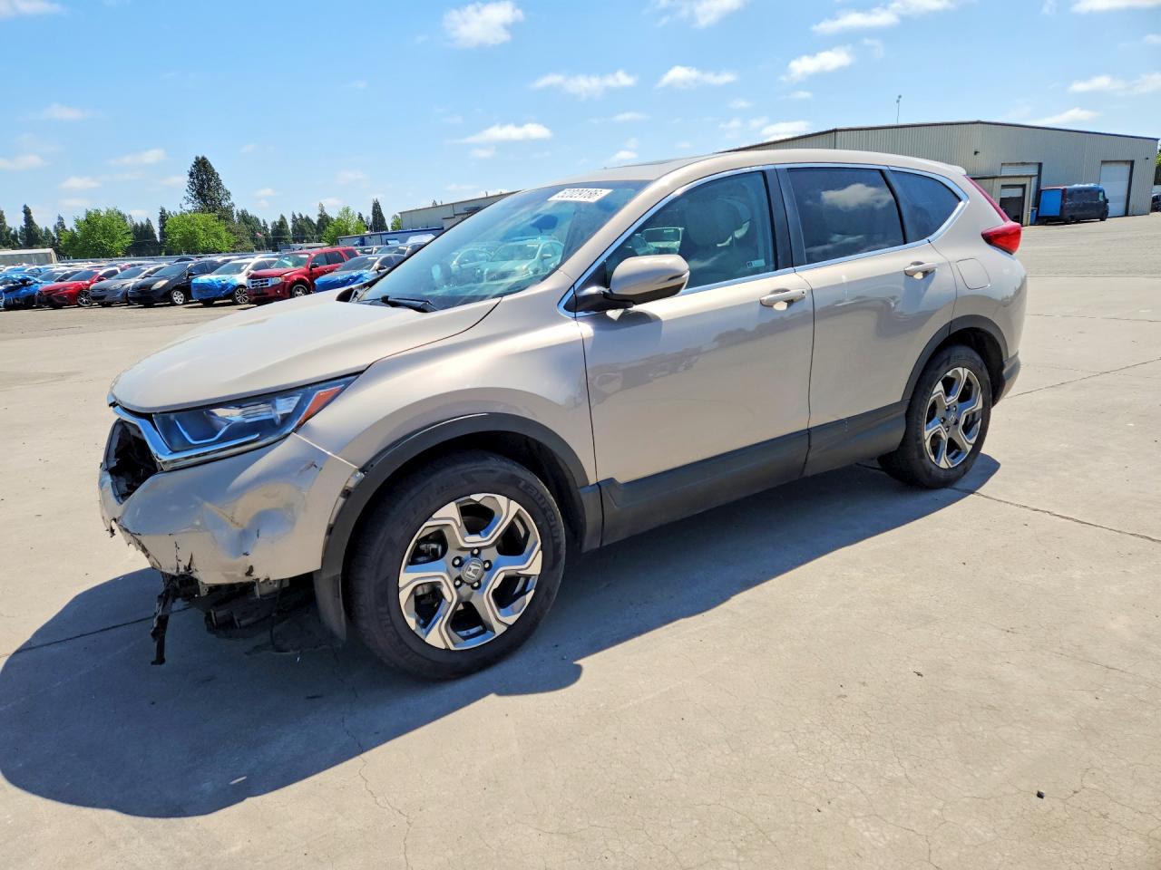 Salvage Honda Crv Image