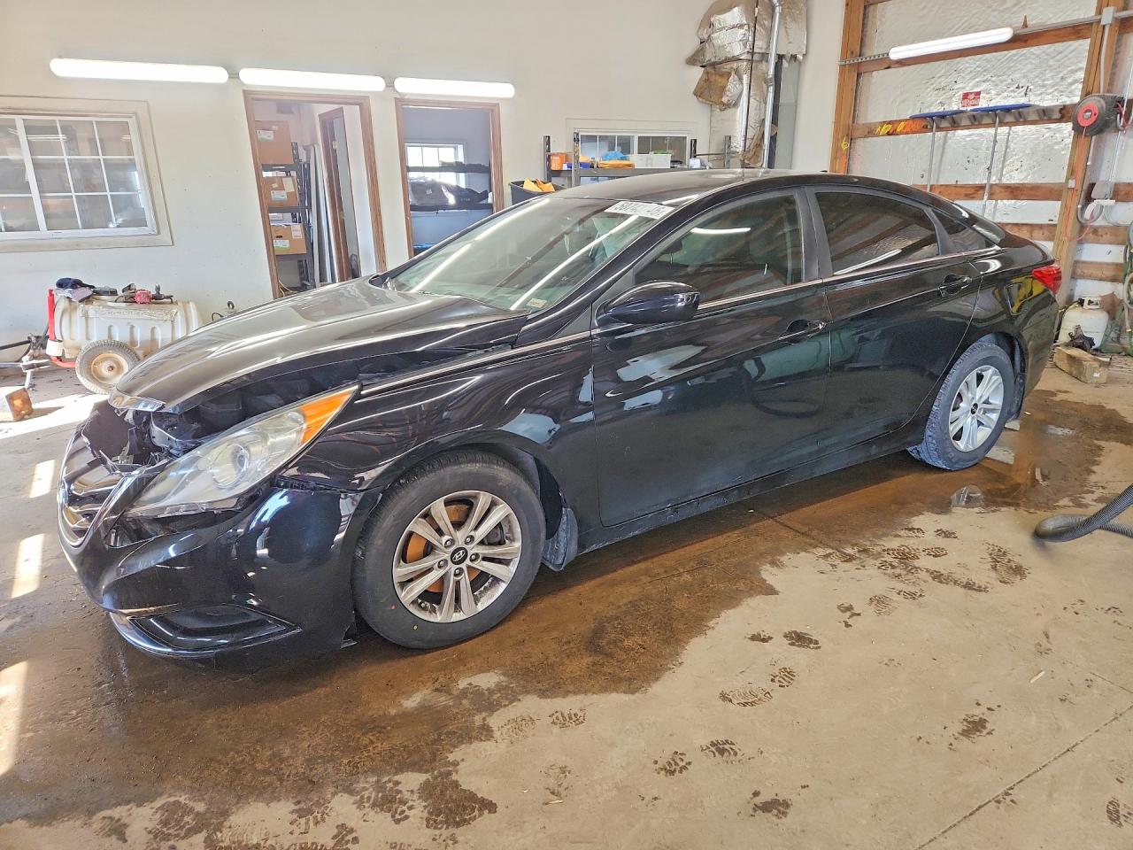Salvage Hyundai SONATA Image