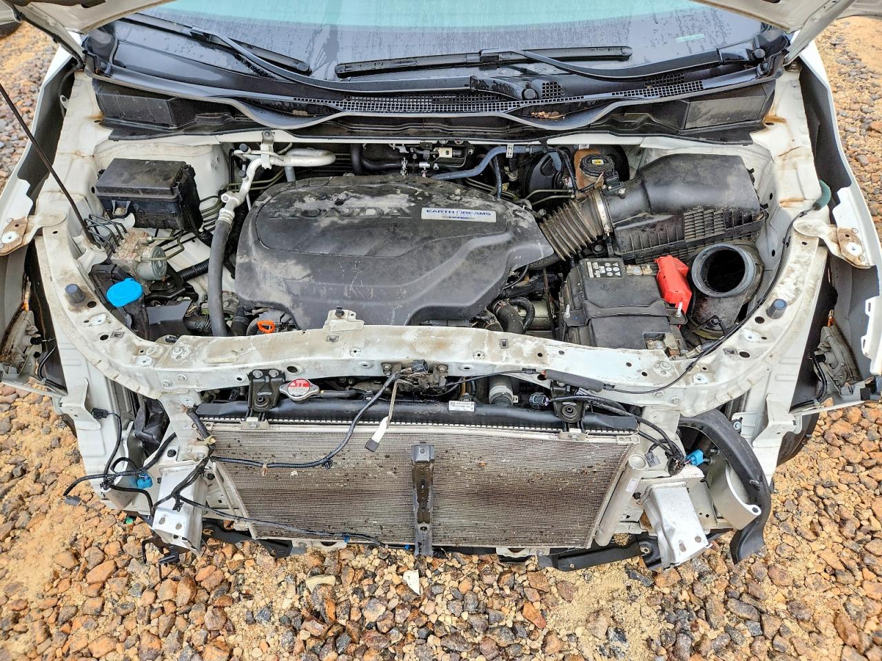 Honda Odyssey Exl