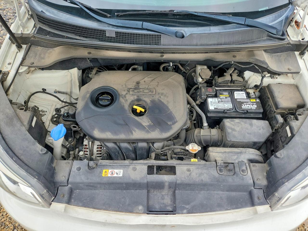 Kia Soul +