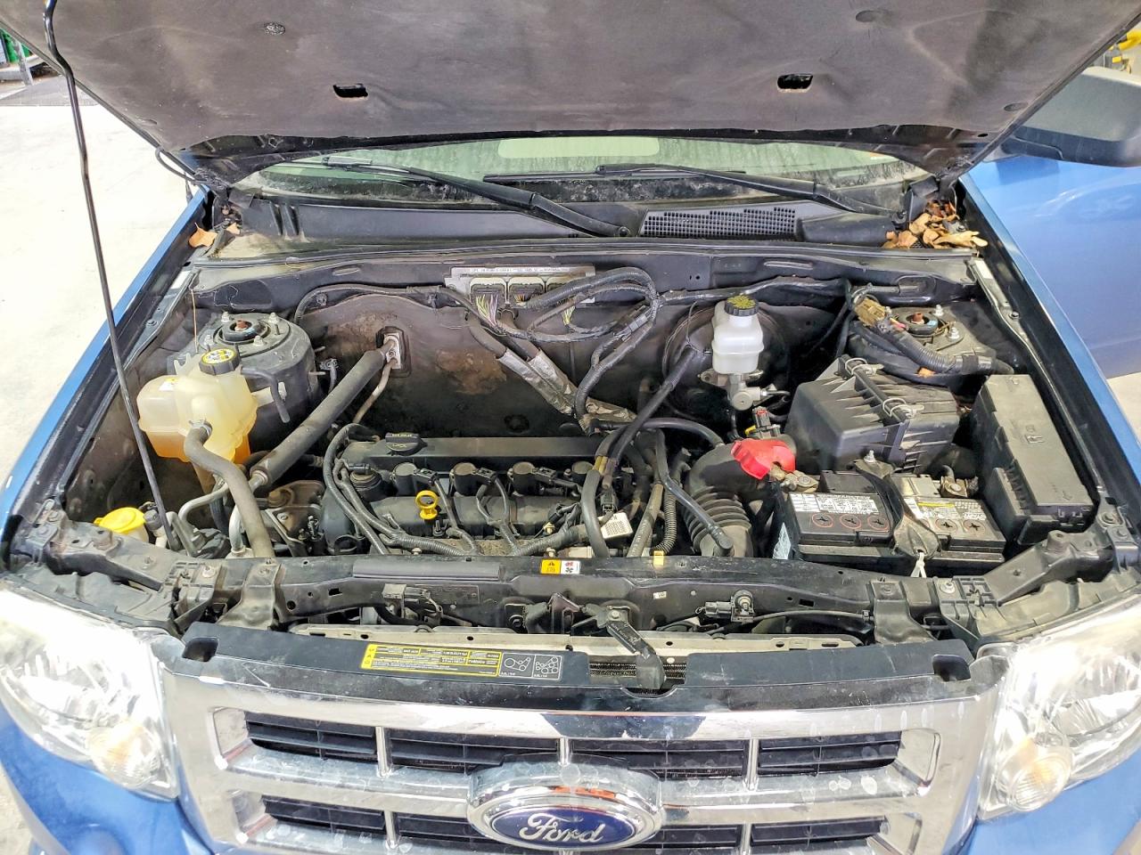 Ford Escape Xlt