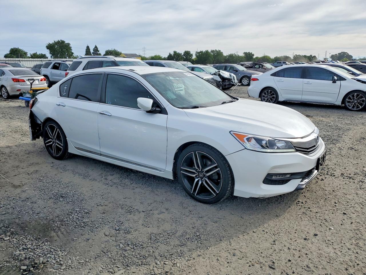 Honda Accord Sport