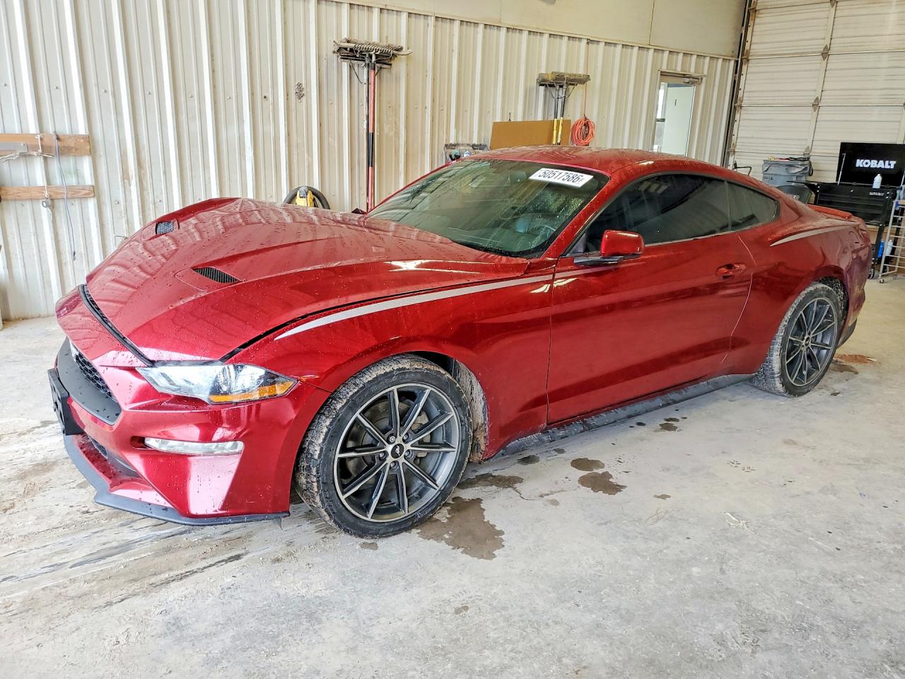 Salvage Ford Mustang Image
