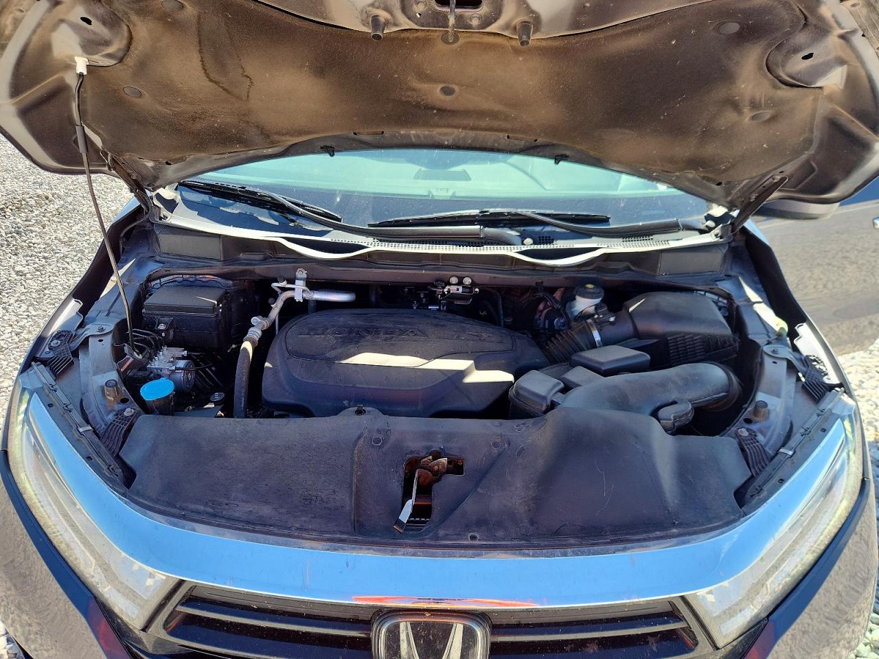 Honda Odyssey Exl