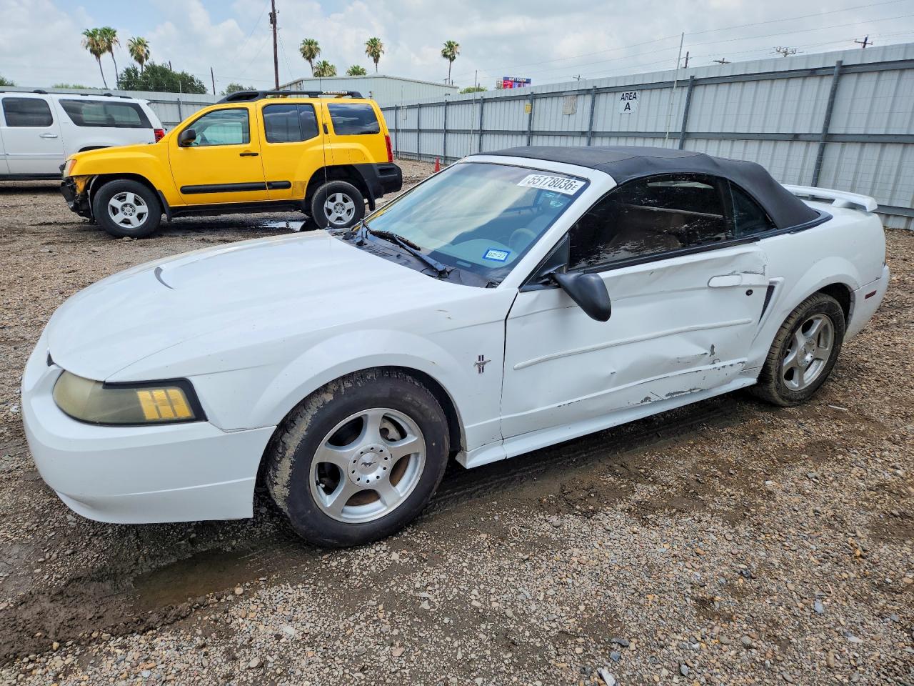 Salvage Ford Mustang Image