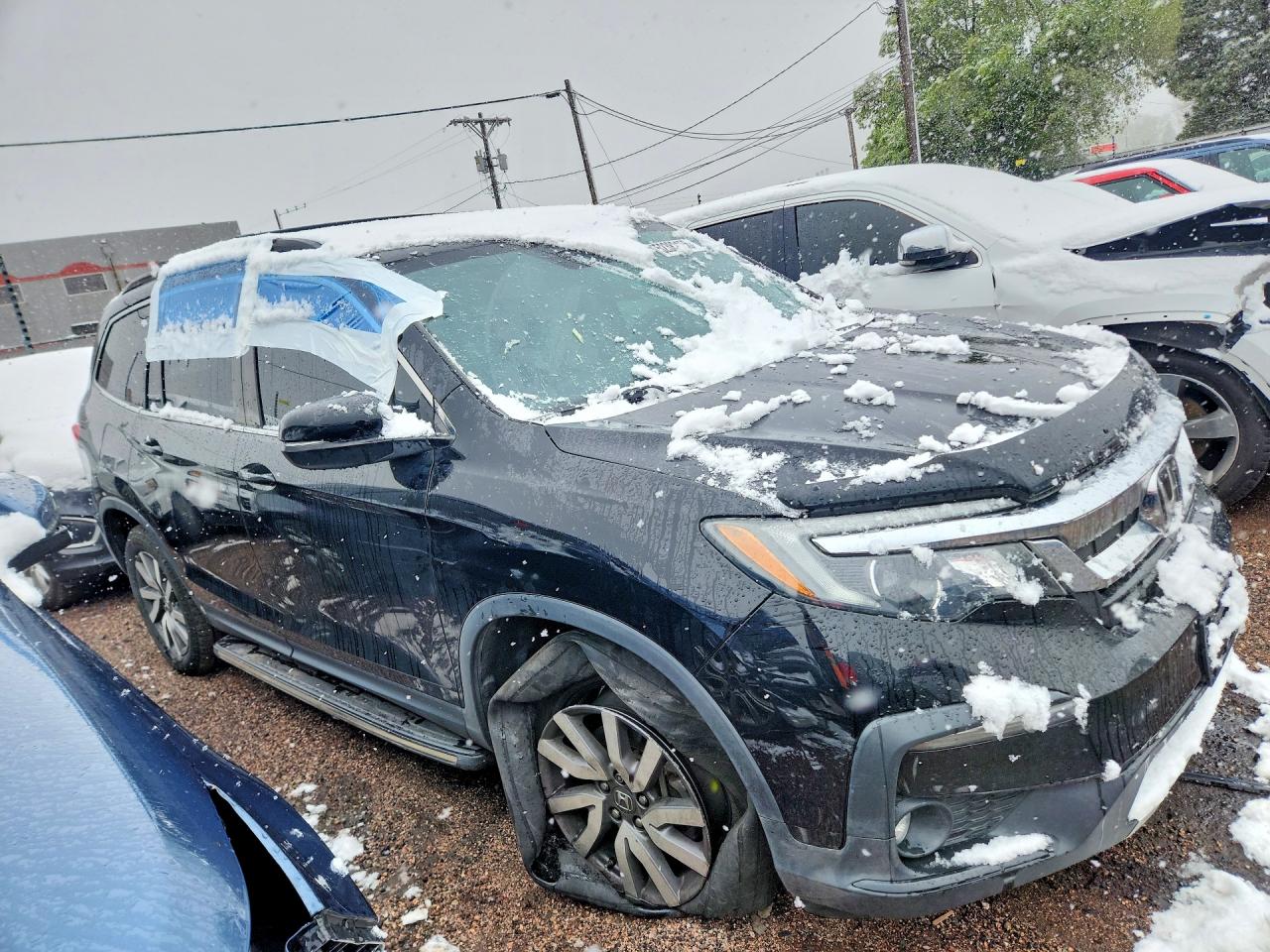 Honda Pilot Exl