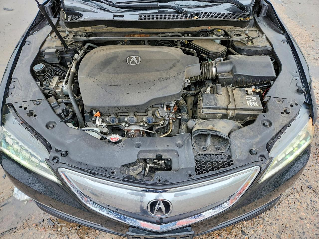 Acura TLX Tech