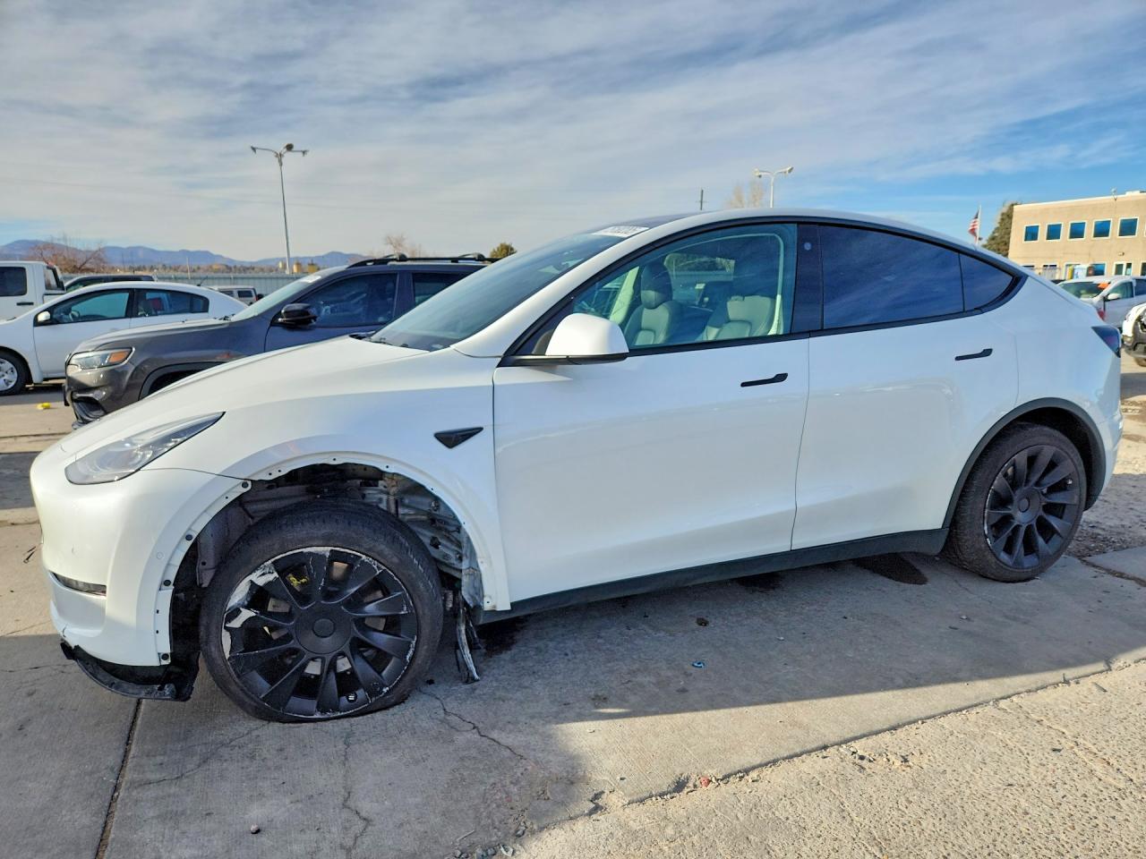 Salvage Tesla Model Y Image