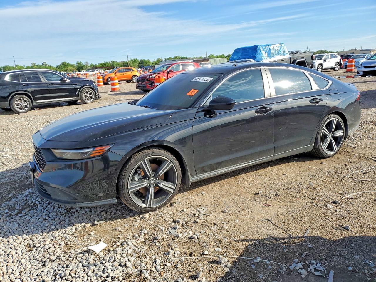 Salvage Honda Accord Image