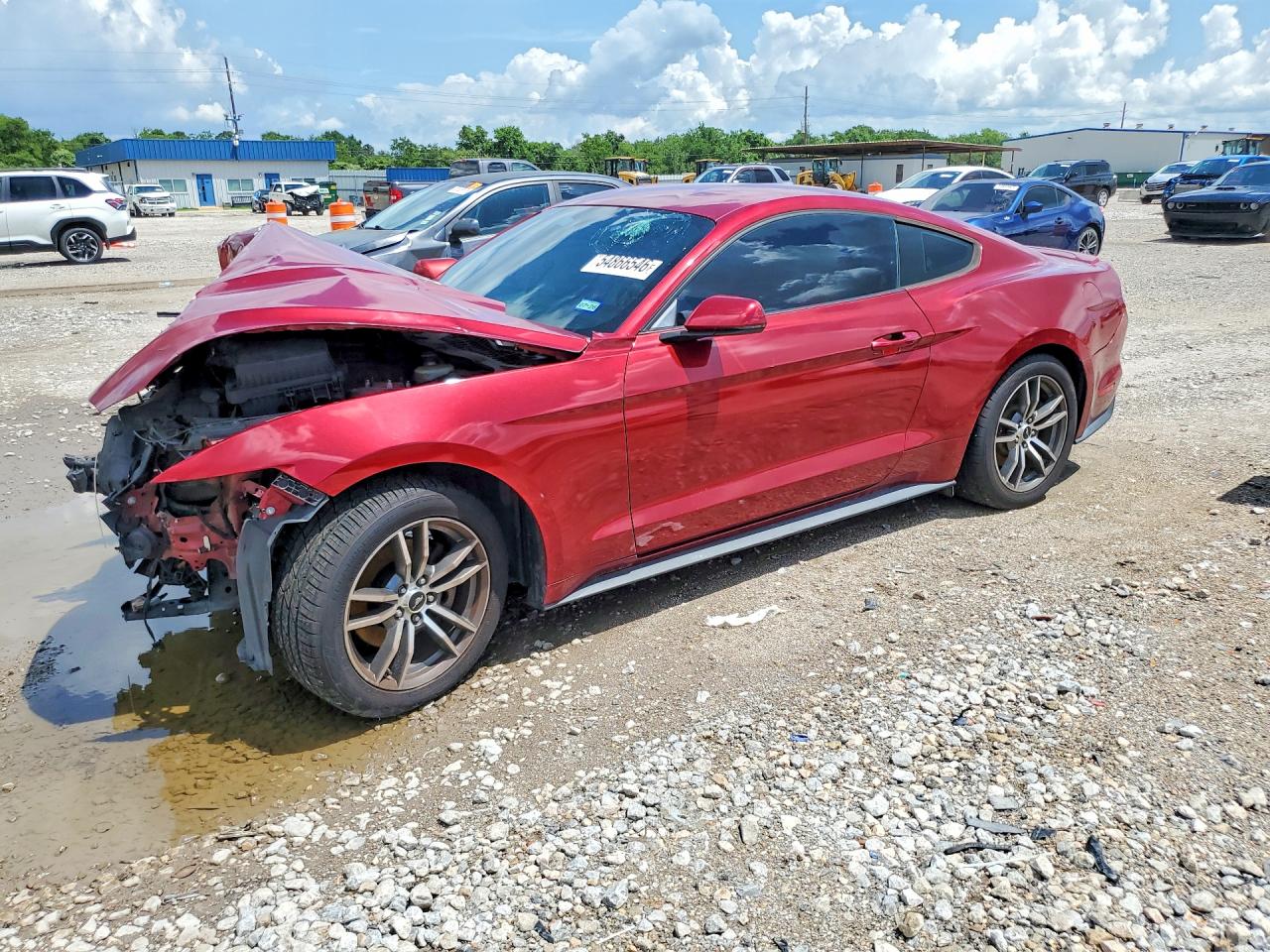 Salvage Ford Mustang Image