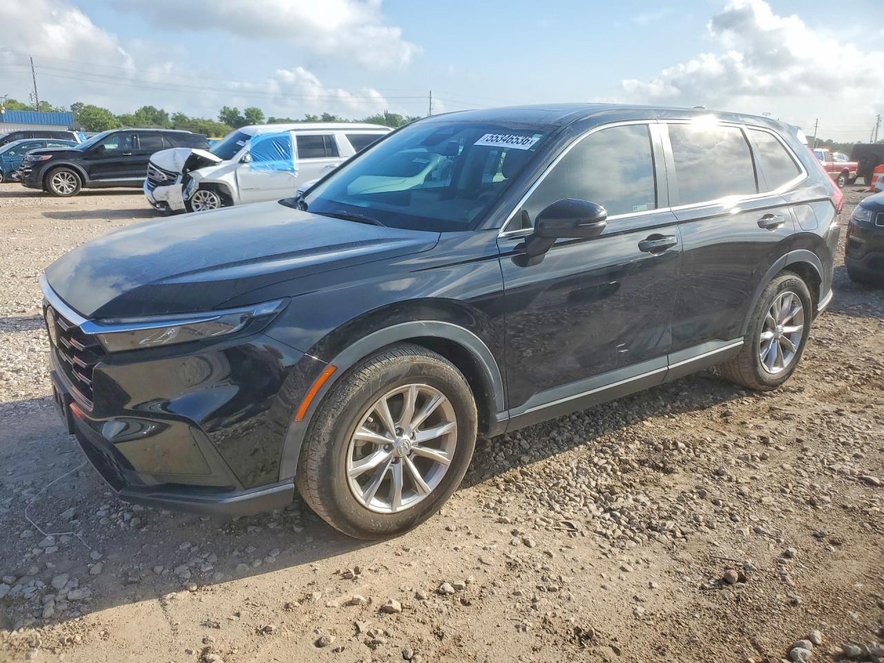 Salvage Honda Crv Image