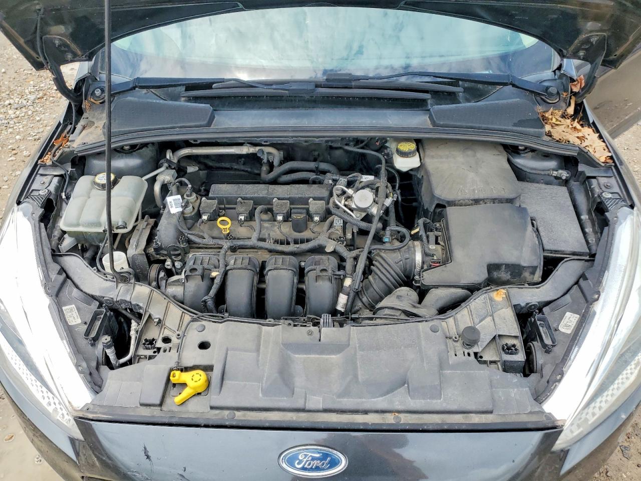 Ford Focus Se