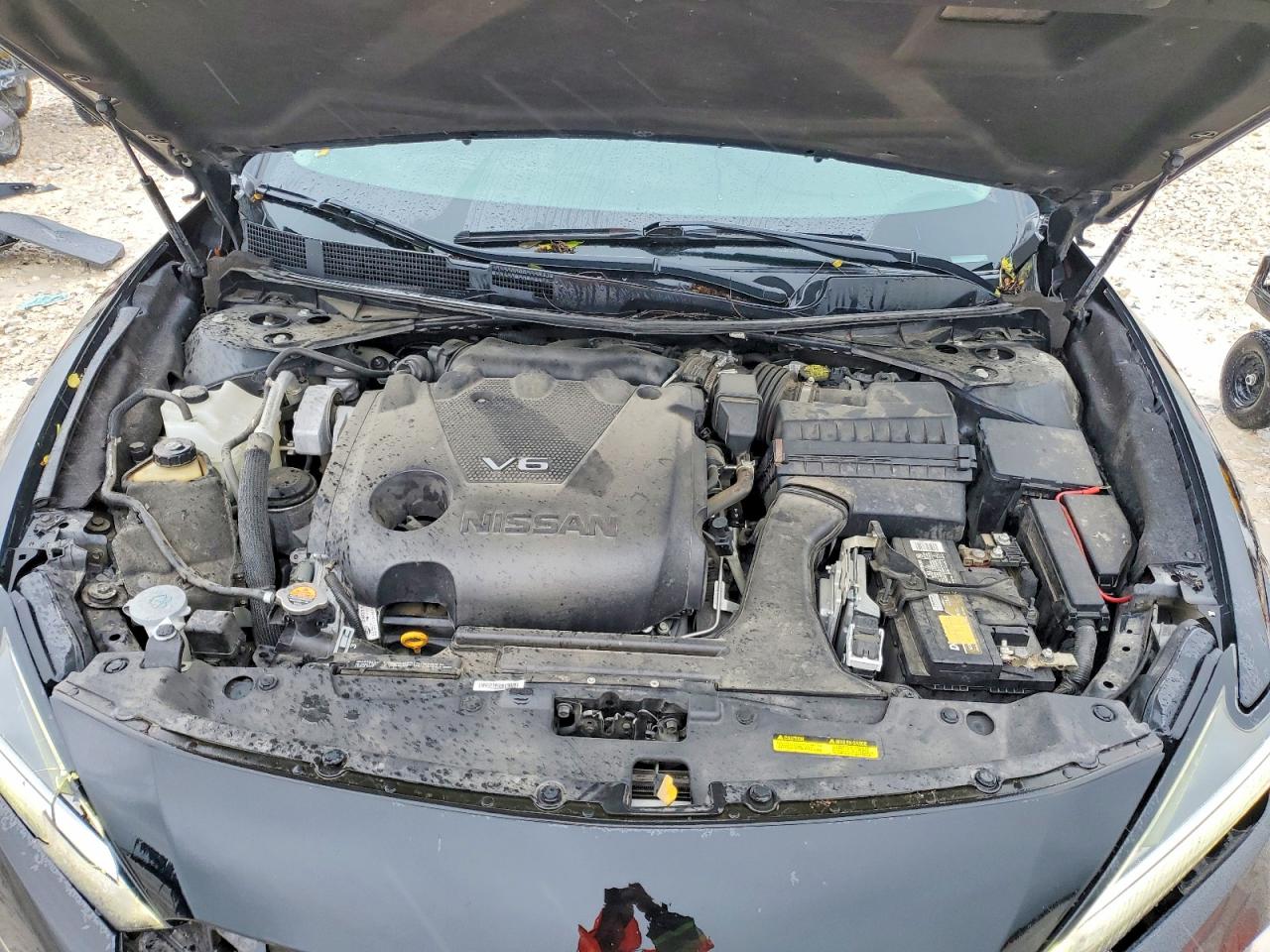Nissan Maxima