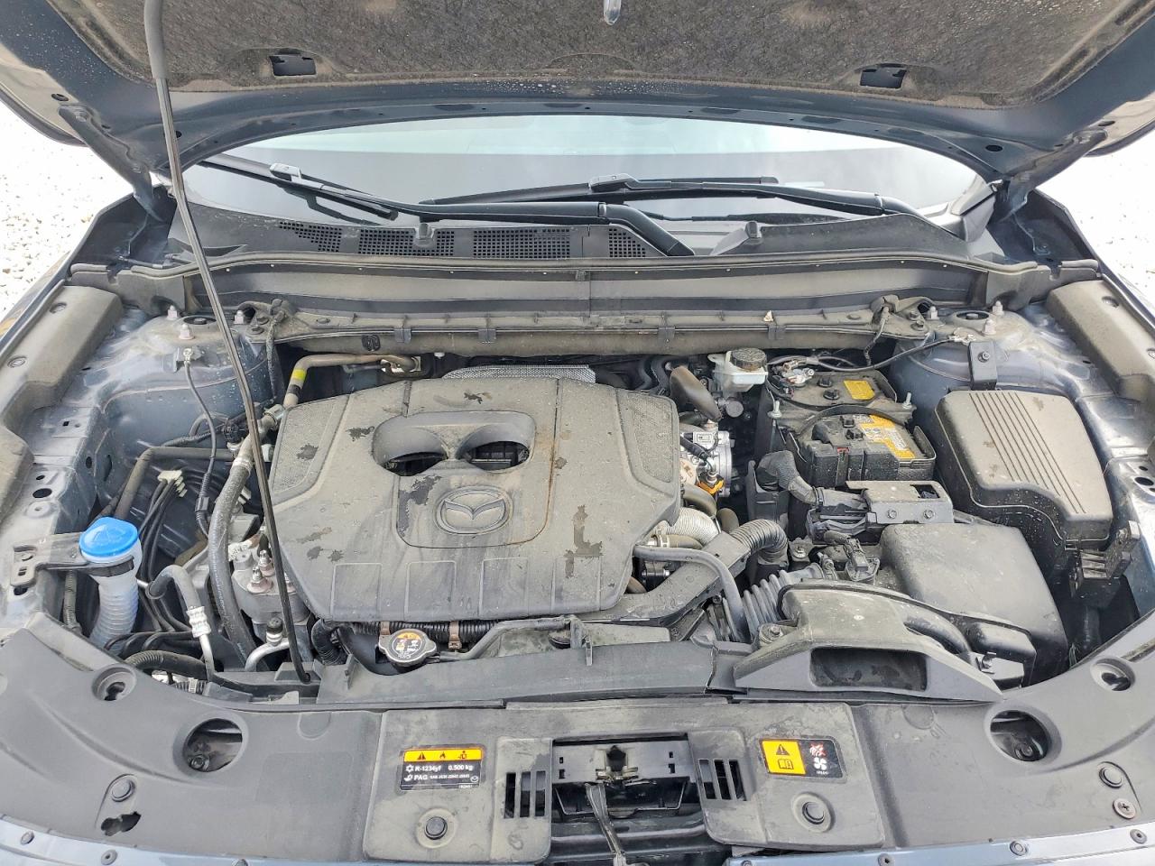 Mazda Cx Preferred