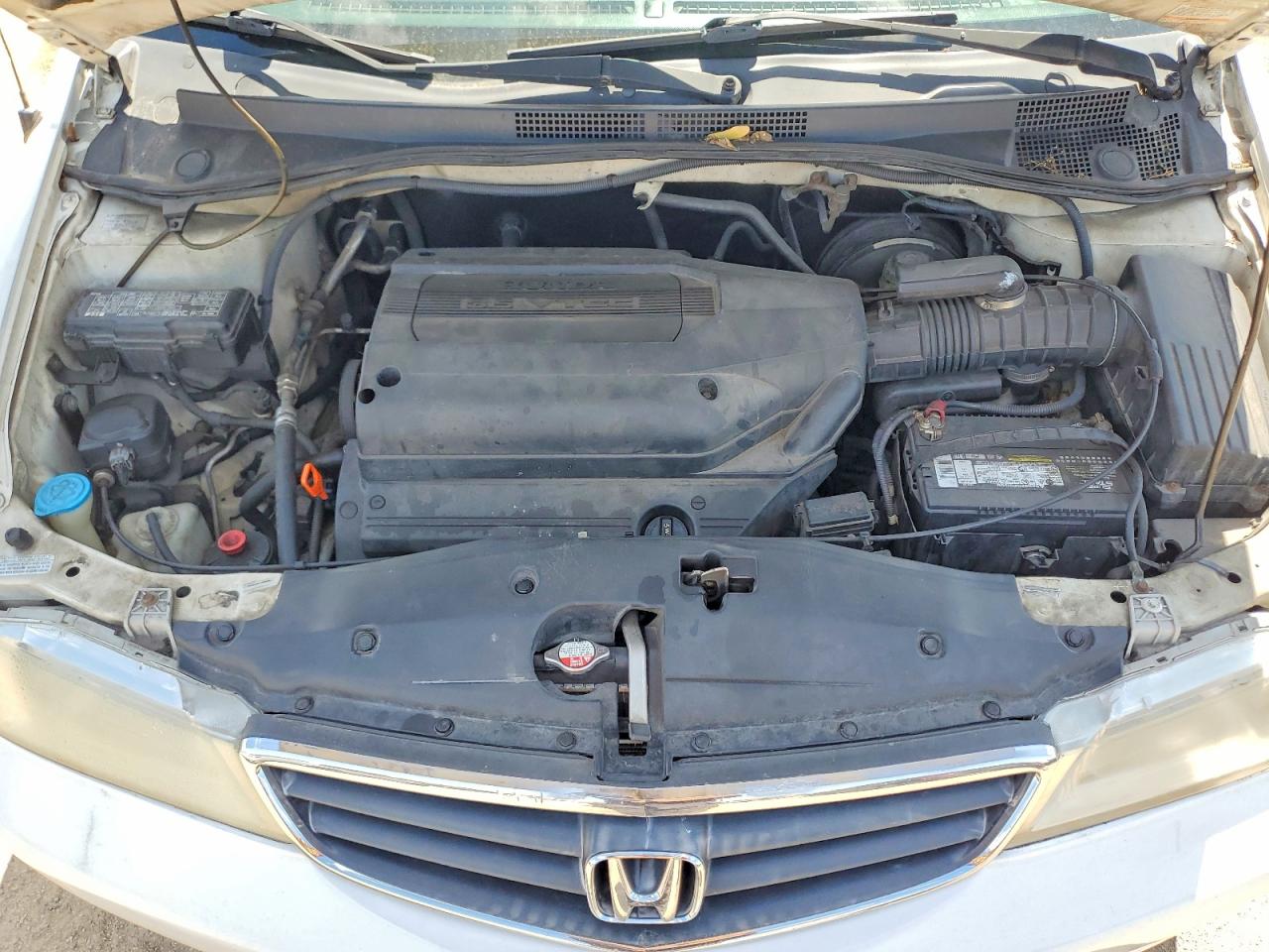 Honda Odyssey Exl