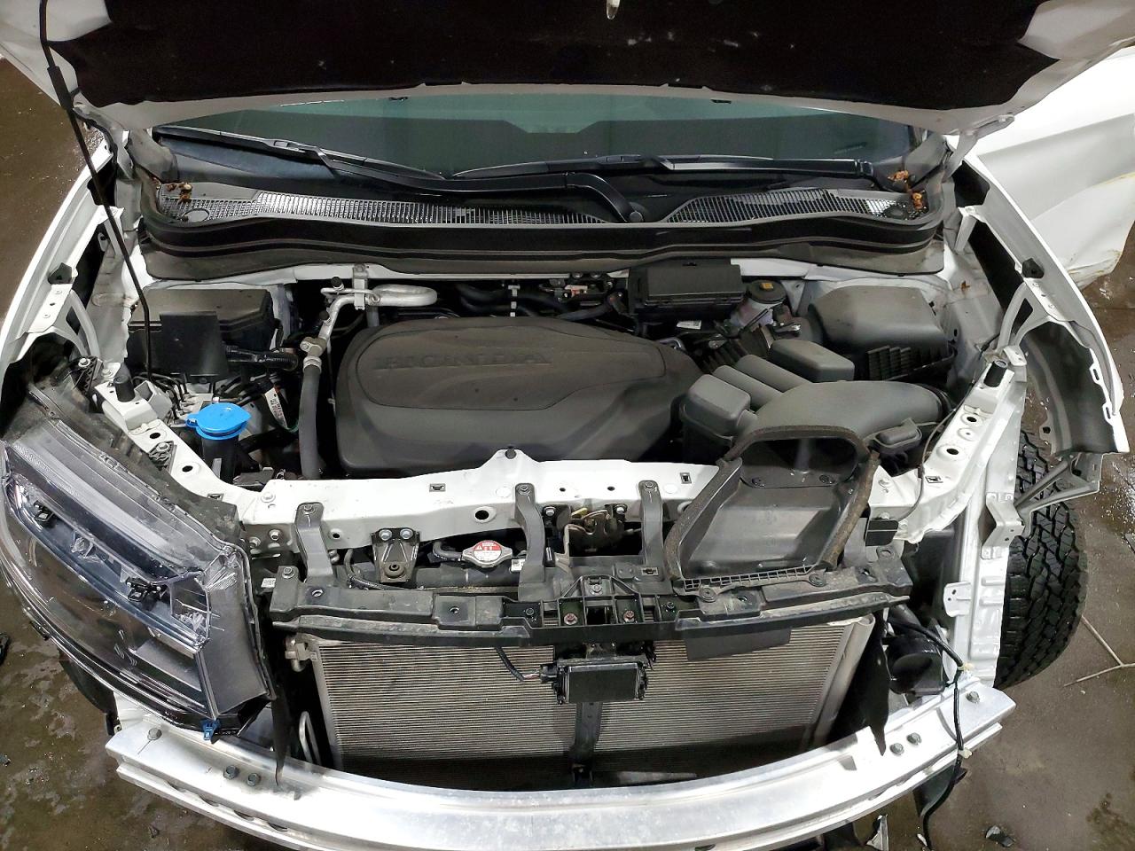 Honda Passport Trail Sport