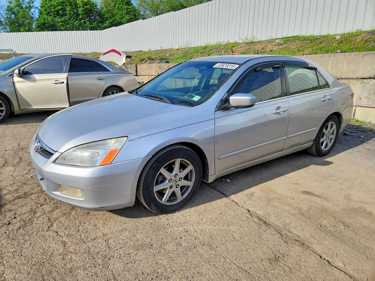 Salvage Honda Accord Image