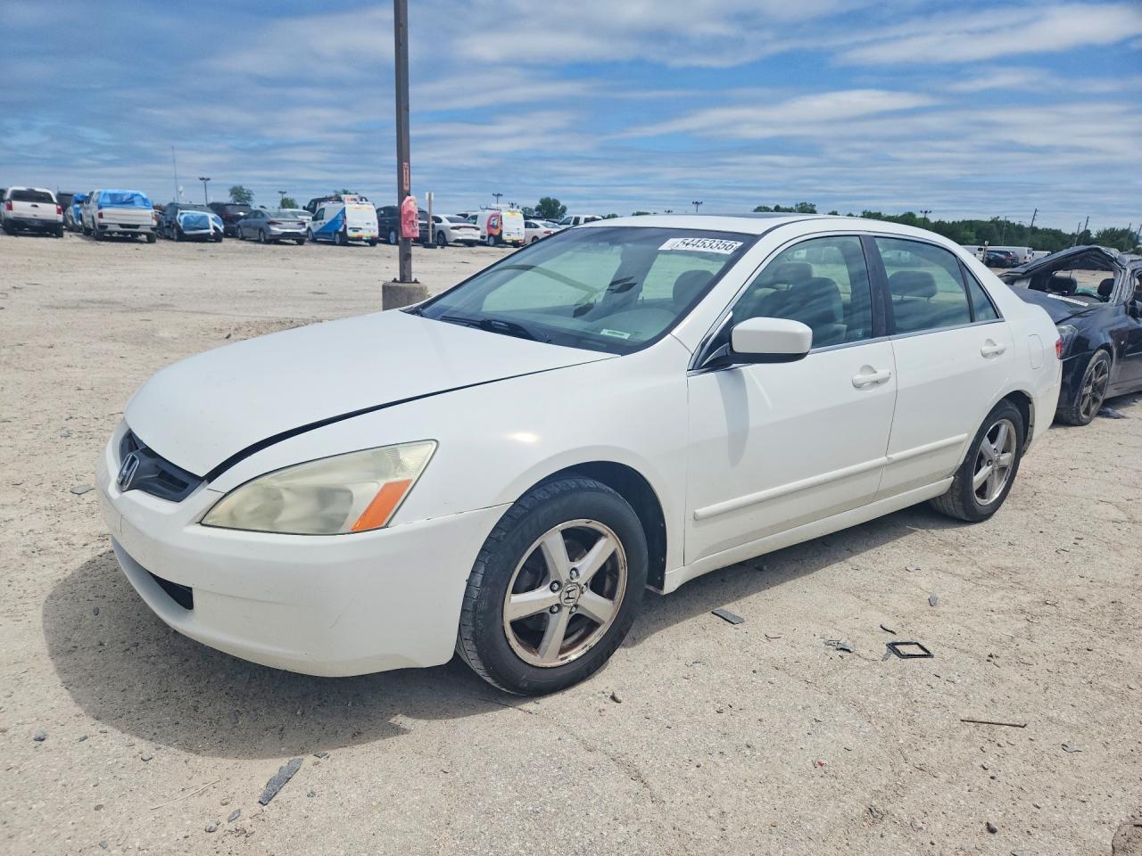 Salvage Honda Accord Image