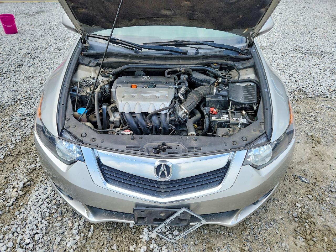 Acura TSX