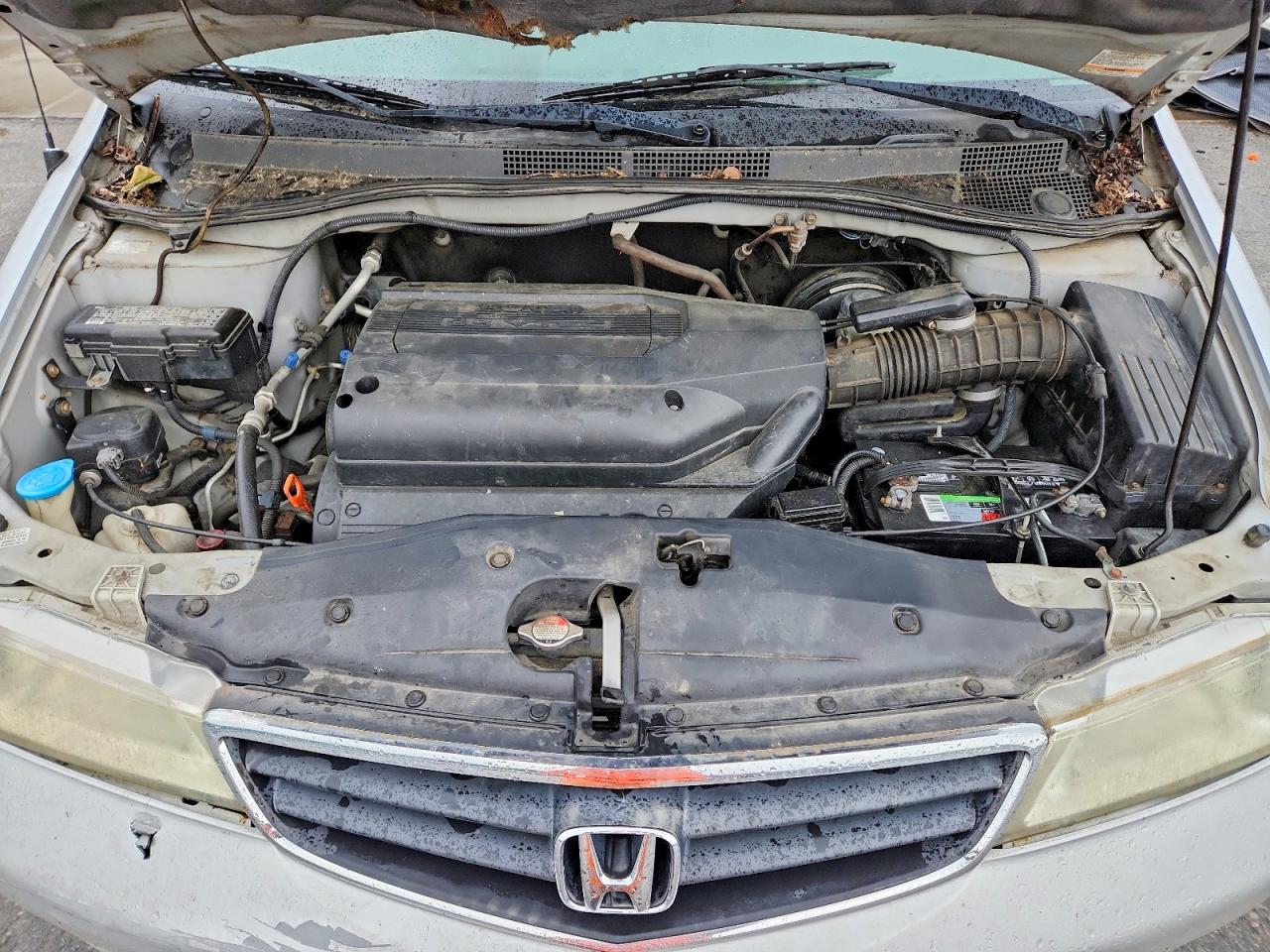 Honda Odyssey Ex