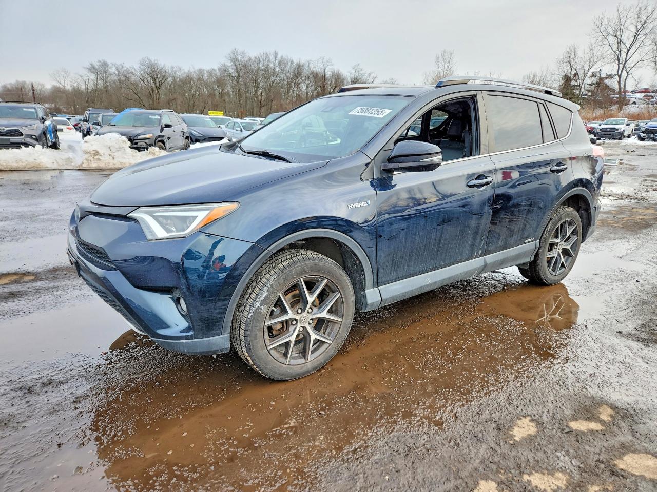 Salvage Toyota RAV4 Image