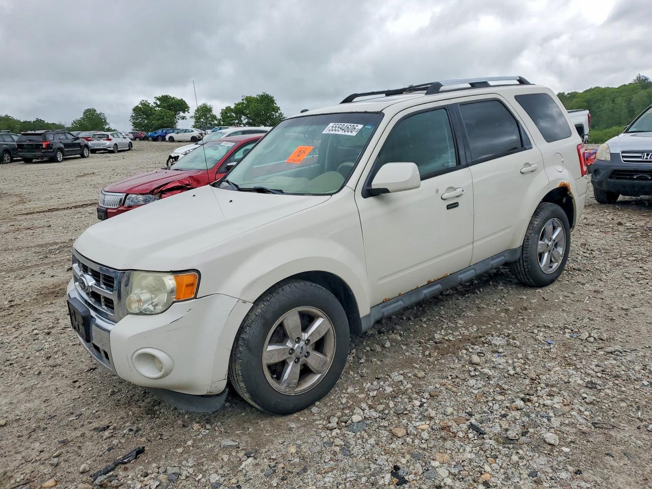 Salvage Ford Escape Image