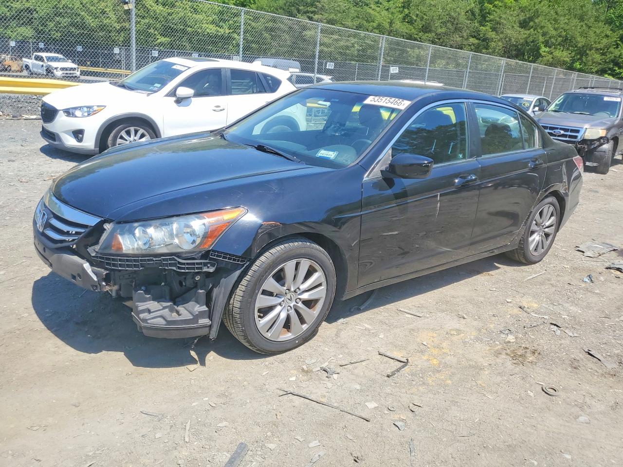 Salvage Honda Accord Image