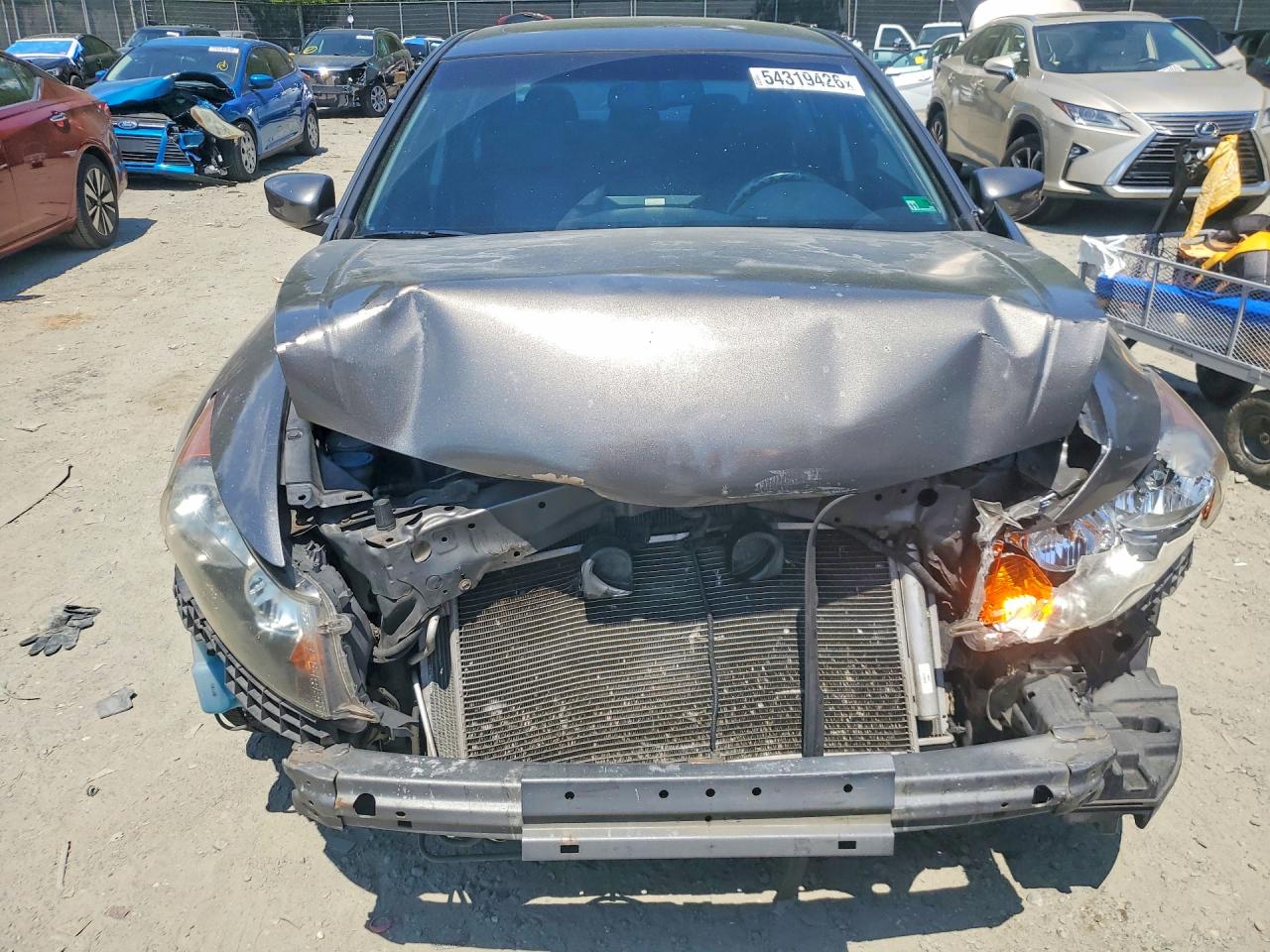 Honda Accord Exl