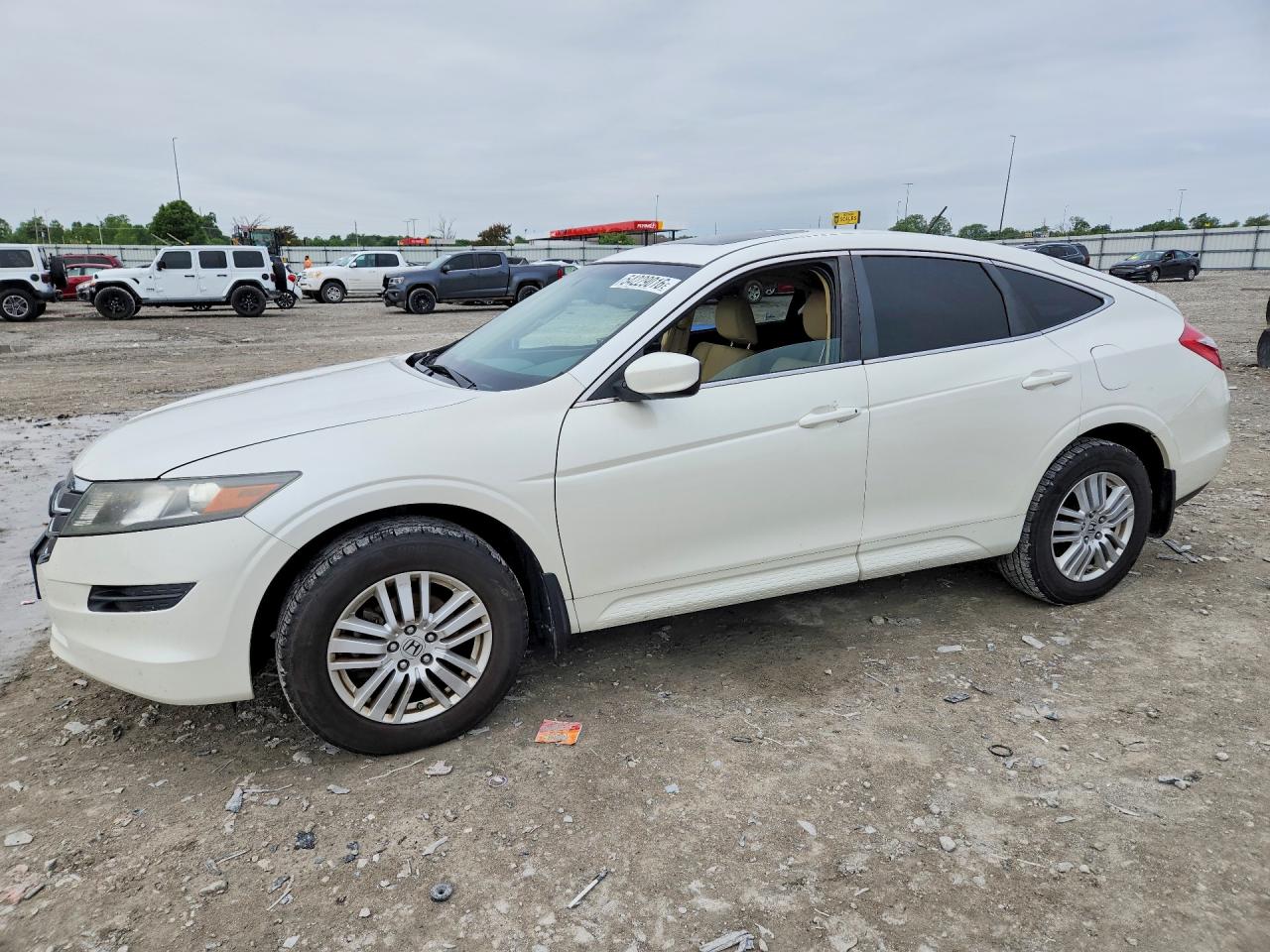 Salvage Honda Crosstour Image