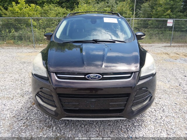 Ford Escape Sel