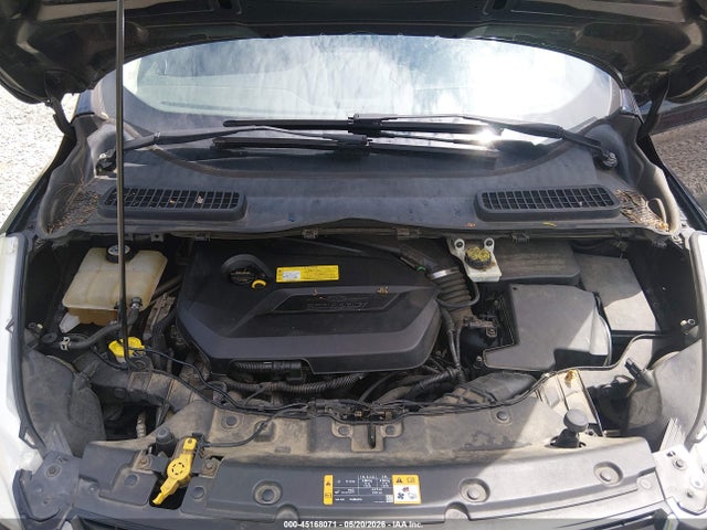 Ford Escape Sel
