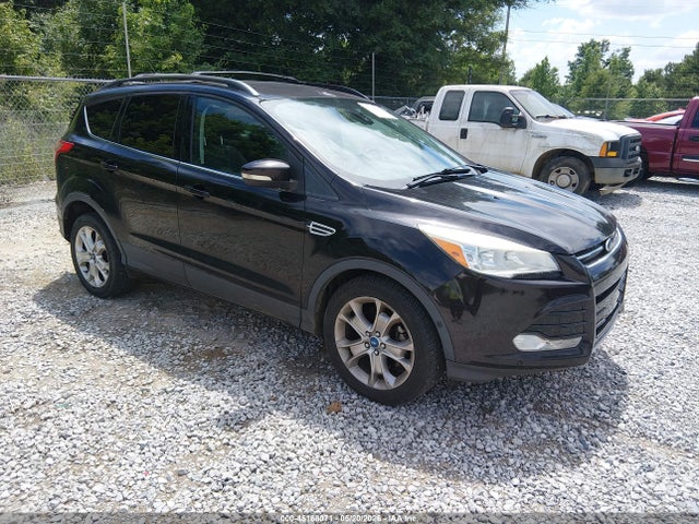 Salvage Ford Escape Image
