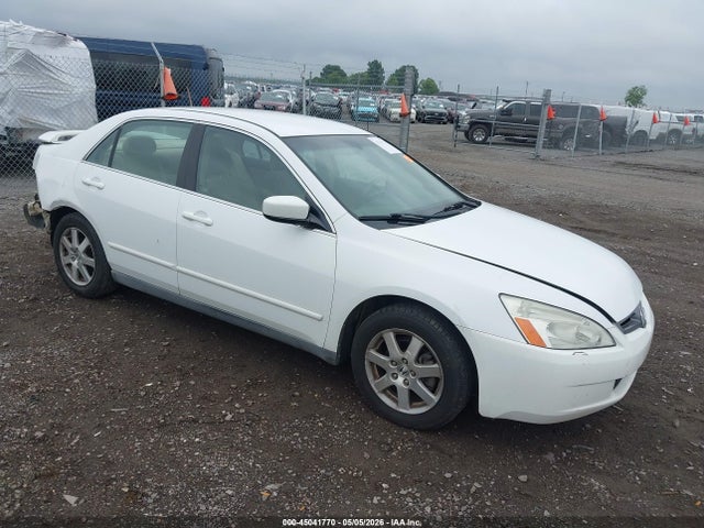 Salvage Honda Accord Image