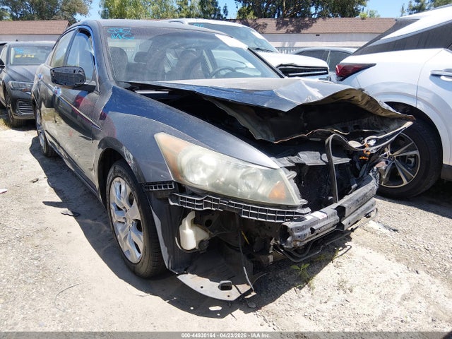 Salvage Honda Accord Image