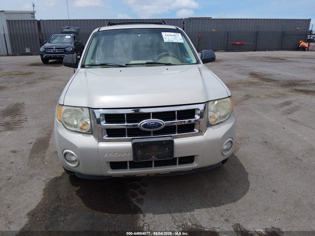 Ford Escape Xlt
