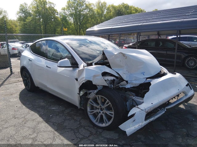 Salvage Tesla Model Y Image