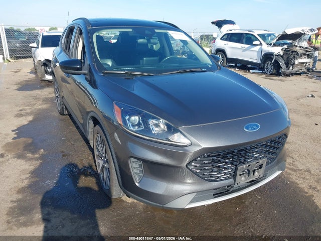 Salvage Ford Escape Image