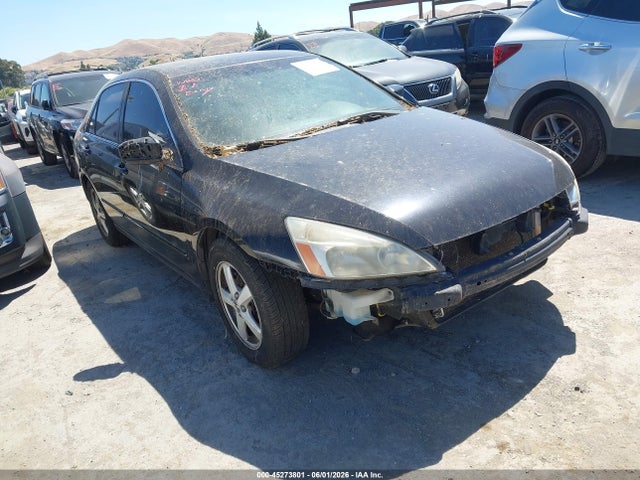 Salvage Honda Accord Image