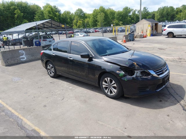 Salvage Honda Accord Image
