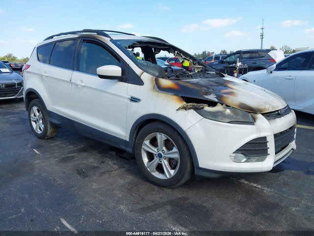 Salvage Ford Escape Image