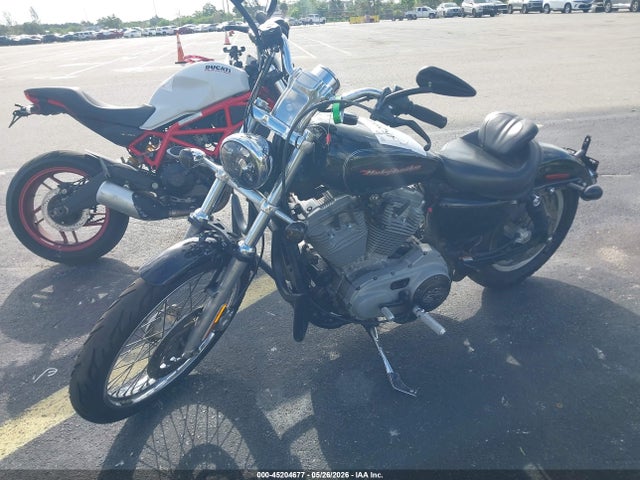 Harley-Davidson Xl883 C
