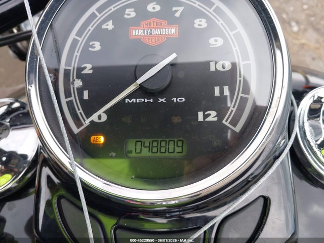 Harley-Davidson Flss